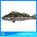 fresh frozen whole round fat greenling fish with favourable price